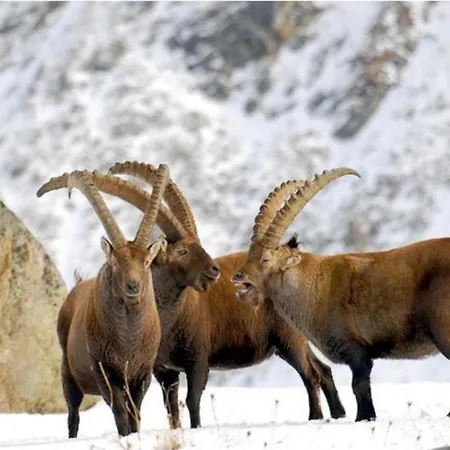 아파트 In Near Lifts