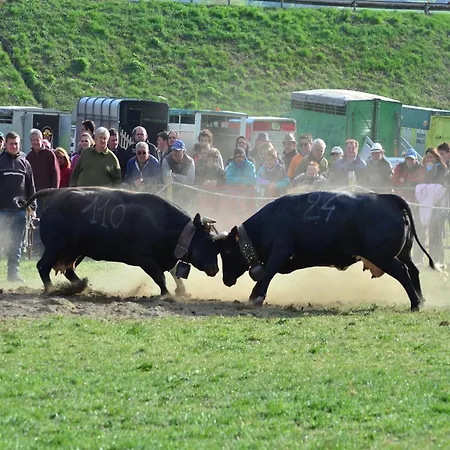 아파트 In Near Lifts *